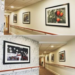 Installation of framed fine art for care homes hospitality corporate c